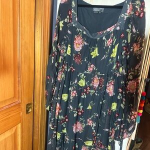 Anthropologie Floral Long Sleeve maxi Dress